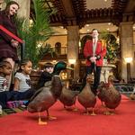 The Peabody Memphis