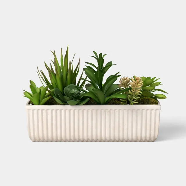 8" Succulent Capsule - Threshold™