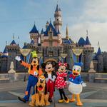 Disneyland/ Disney California Adventure