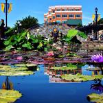Carroll Creek Linear Park