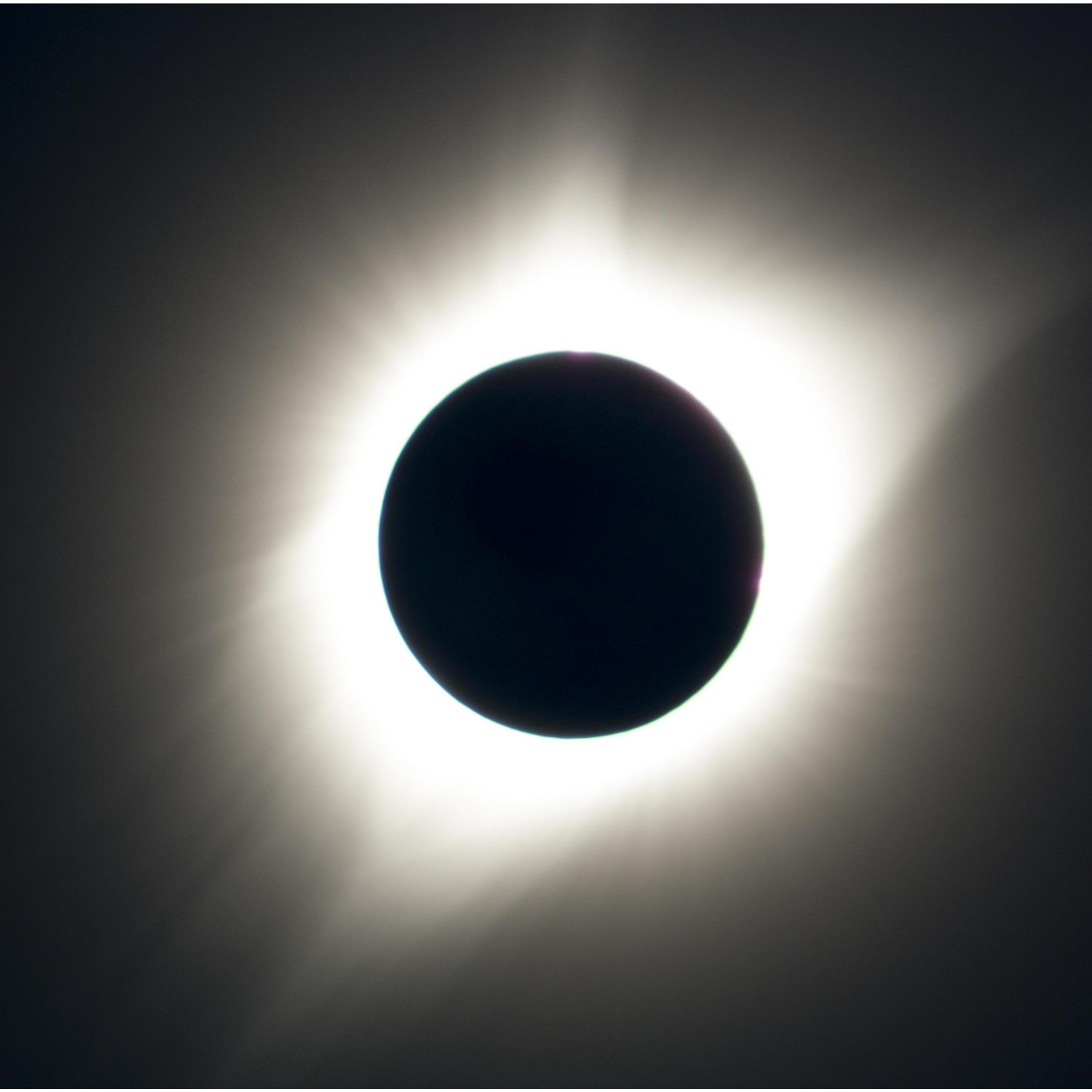 Chris proposed during the 2017 Solar Eclipse in Oregon, while Andrea was photographing it.  This was taken seconds before he popped the question!