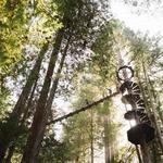 Sonoma Zipline Adventures