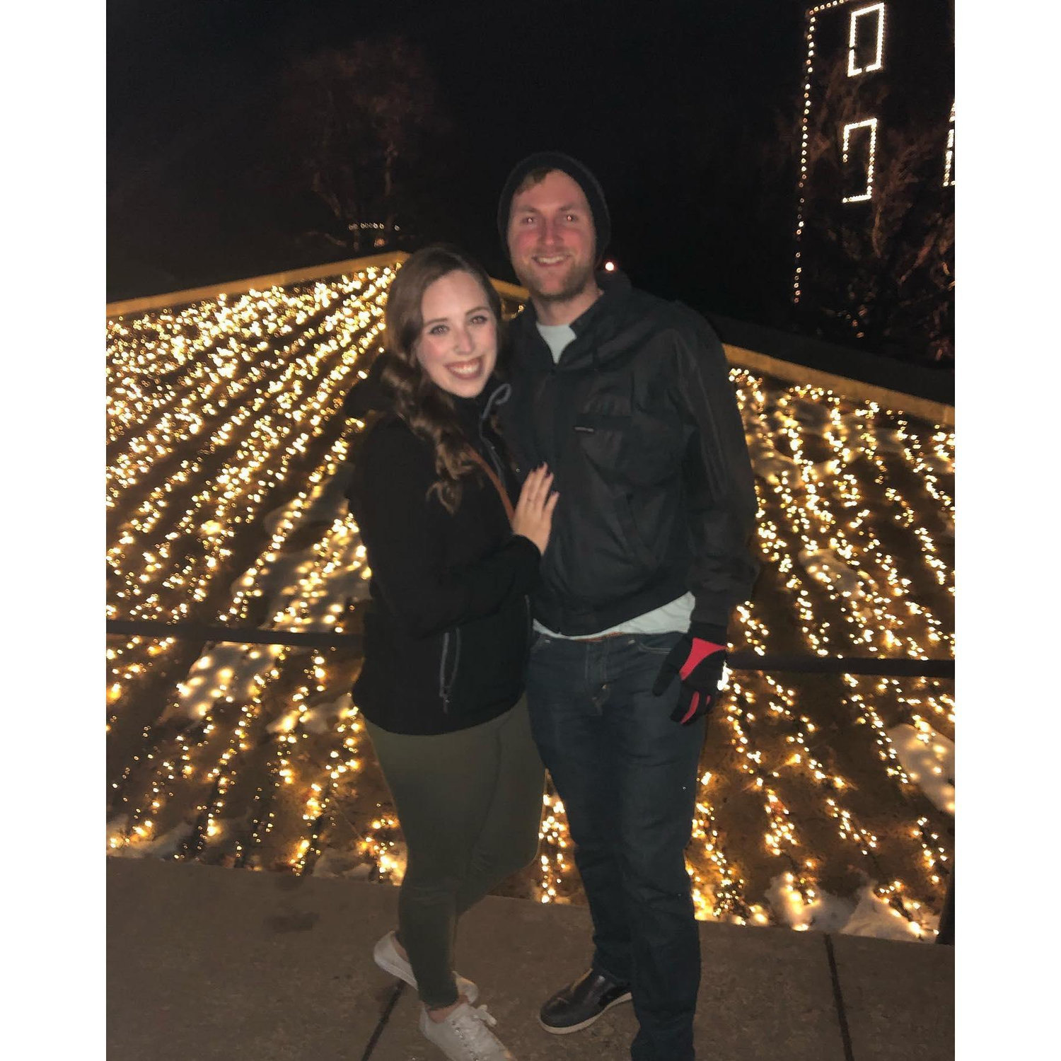 St. Louis Garden Glow 2019