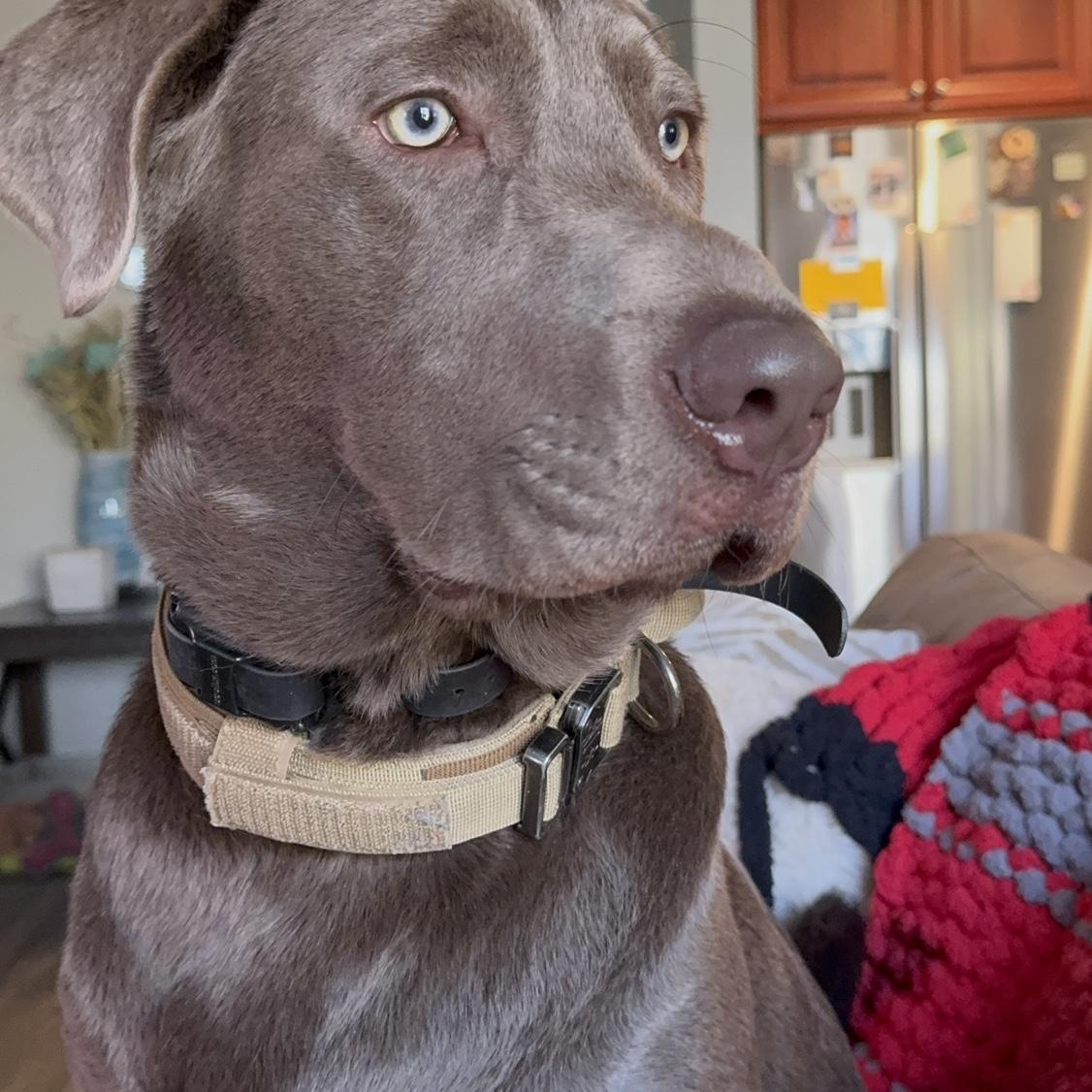 Our Handsome Booggg