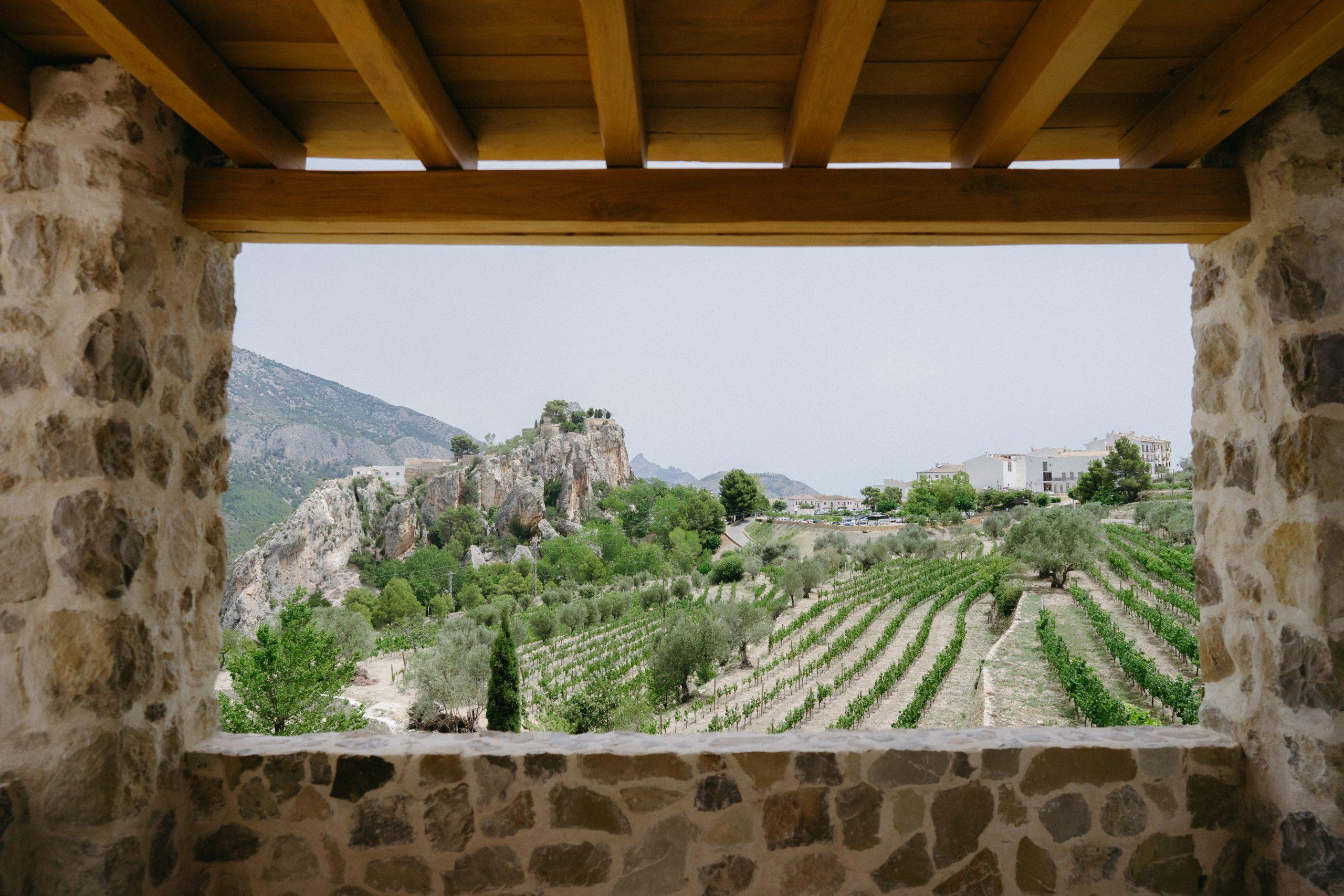 The Wedding Website of Alexandra Kirwin and Jack McKenna