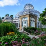 Allan Gardens Conservatory