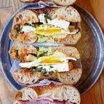 Bagelsaurus