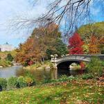 Central Park