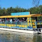 Cocoa Beach Dolphin Tours