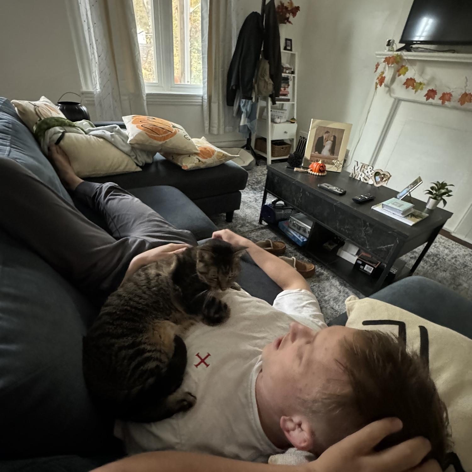 A random day at home with the cats