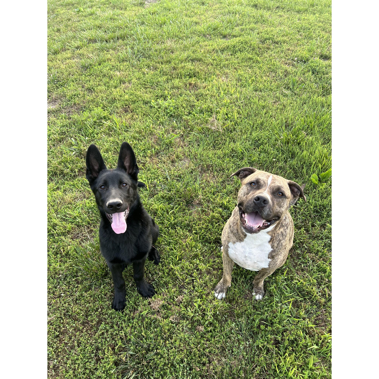 Our two sons, Arlo and George! :D 2024