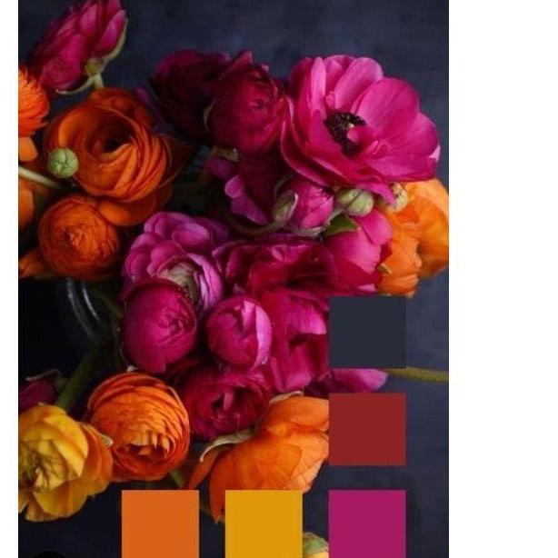 Paleta de Colores