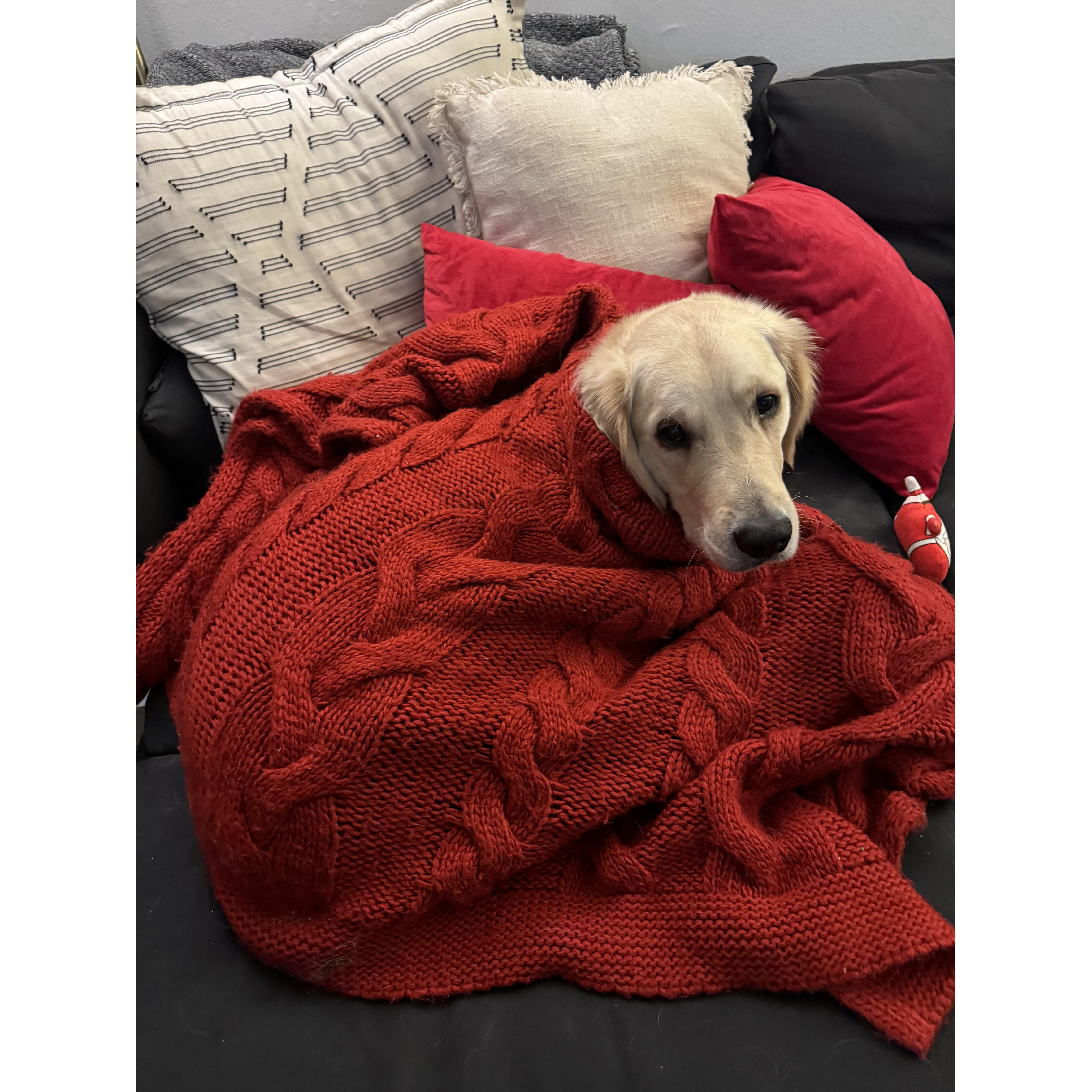 Cozy.