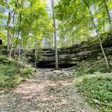 Cedars of Lebanon State Park