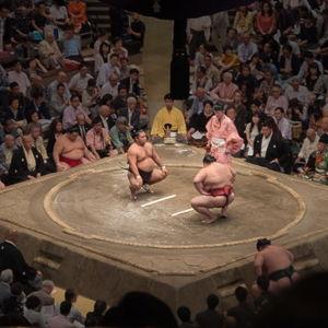 Sumo Wrestling in Tokyo