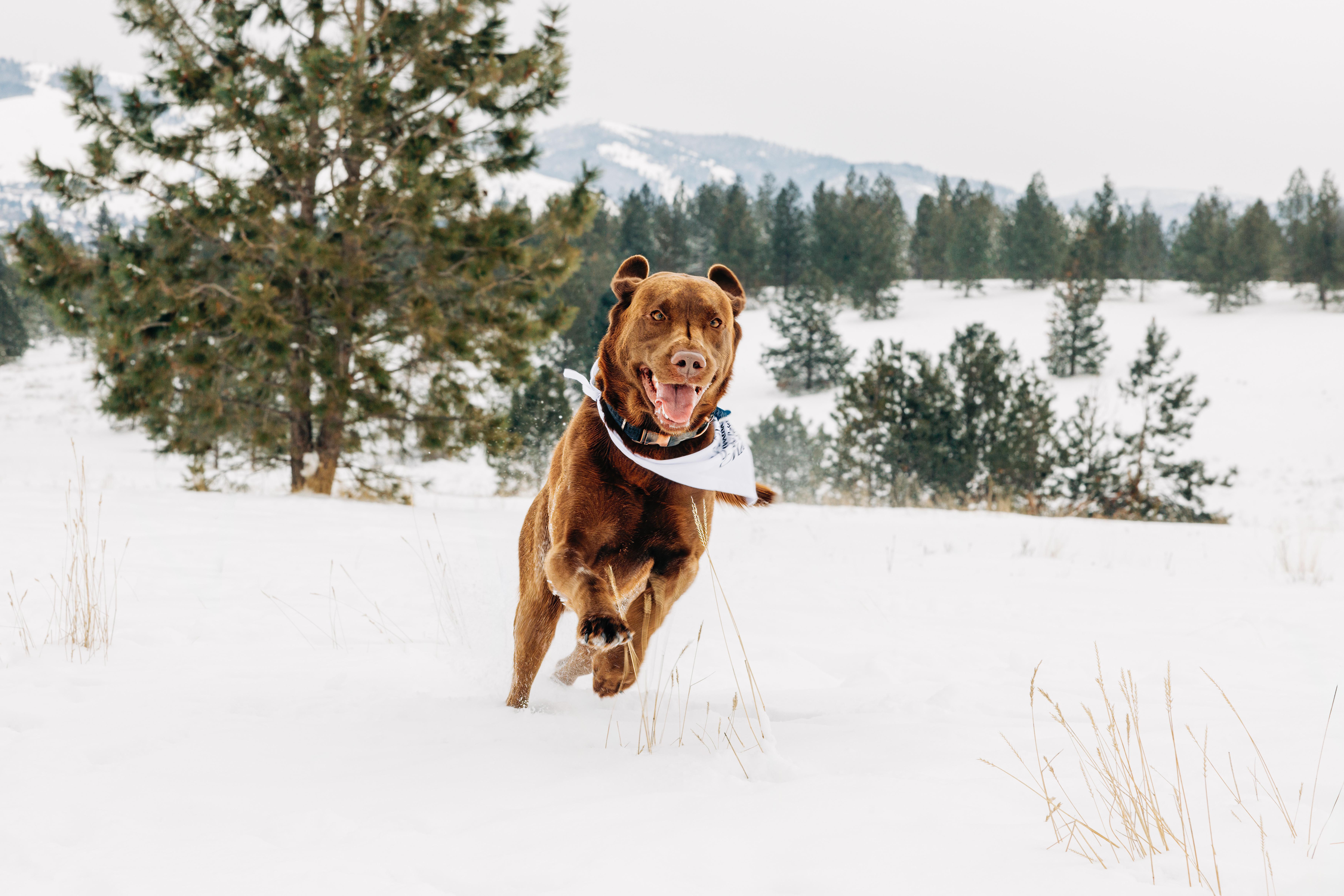 The Wedding Website of Quinci Robertson and Mitchell Thompson