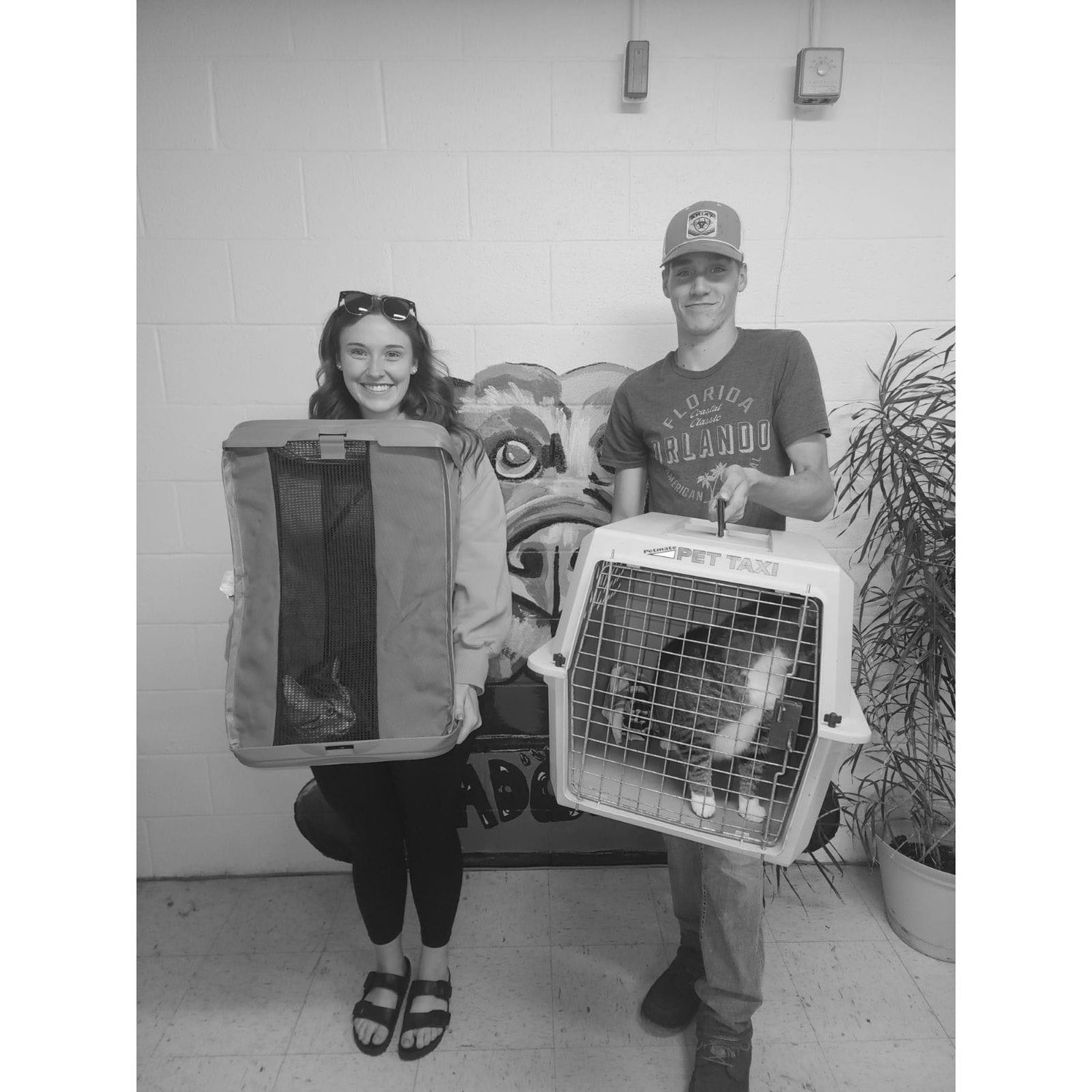 We adopted 2 cats in 2024, but we also have another cat and a dog now!