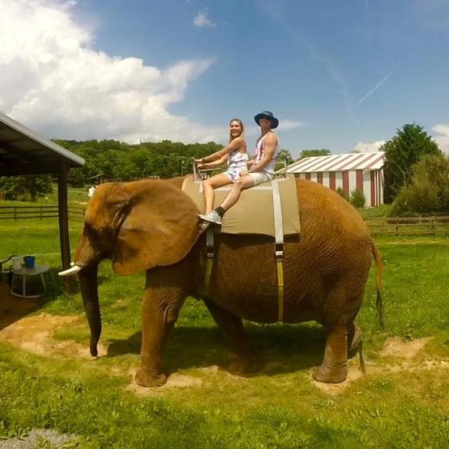 We rode an Elephant!