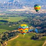 Explore Napa, Yountville and area Vineyards