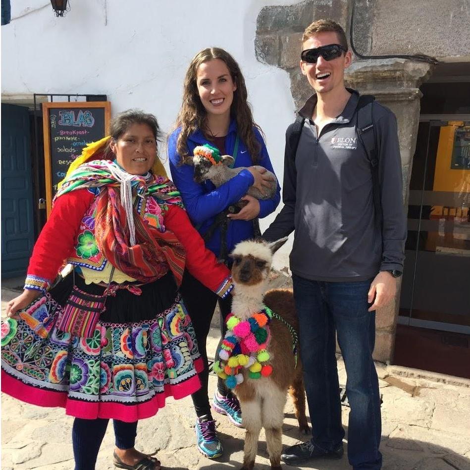 Alpacas in Peru