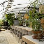 Greenhouse Bar