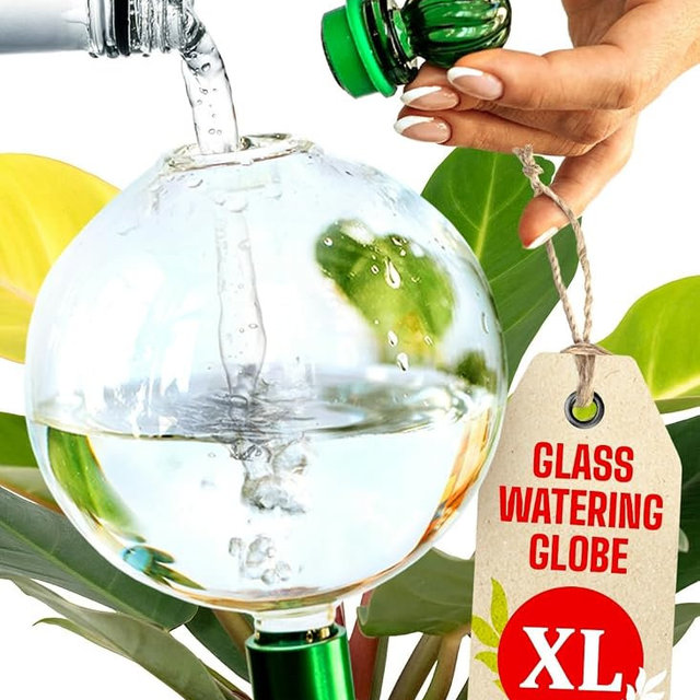 16 Oz Plant Watering Globes for Indoor Plants with Metal Self Watering Planter Insert - Premium XL Glass Hand-Blown Globe - Automatic Plant Waterer Indoor, Gift Idea for Gardeners [1 Globe, Clear]