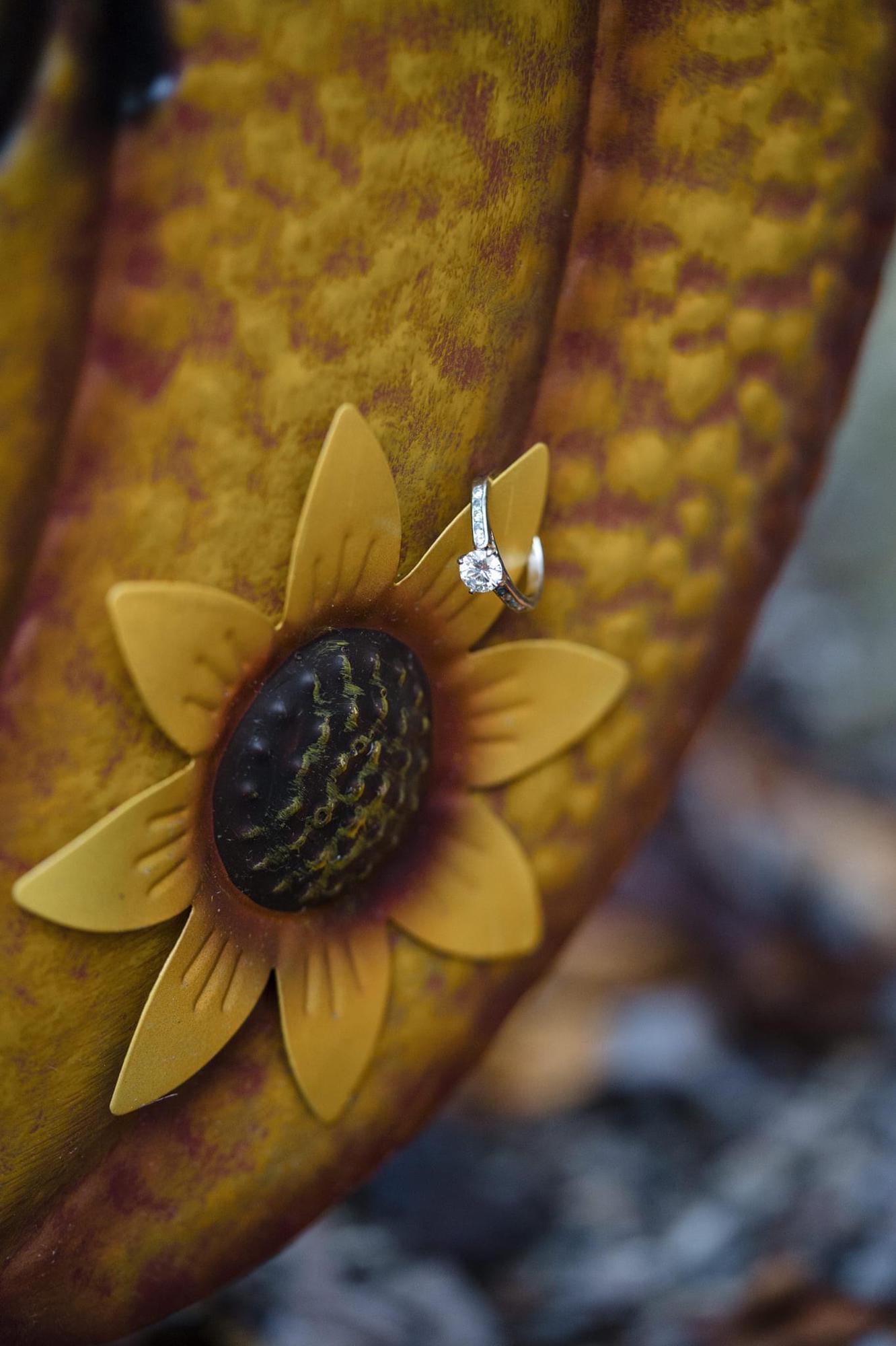Engagement Photo Session 10/22/2021