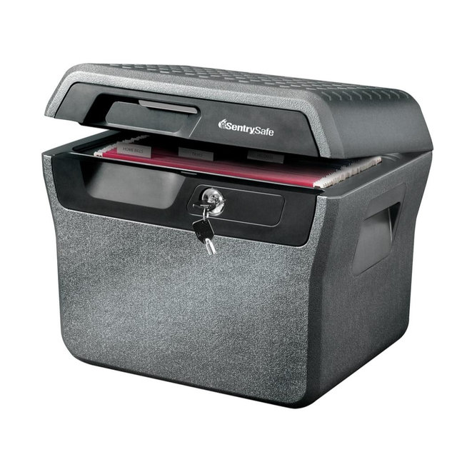 Sentry®Safe Waterproof Fire-Resistant File Holder, 44-Lb, 0.66 Cu Ft Capacity, Charcoal Gray
