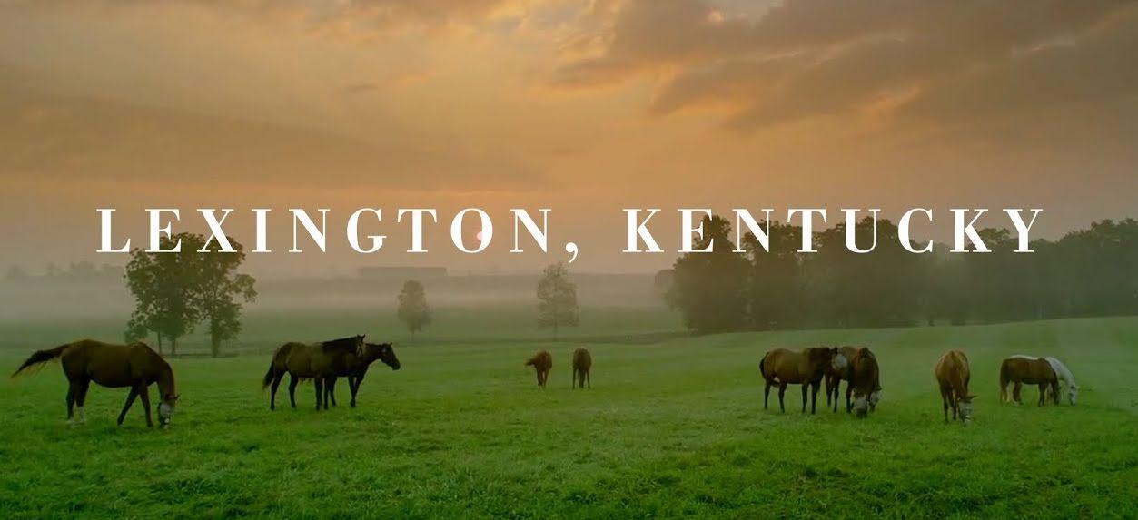 The Wedding Website of Mikayla Wiener and Kyler Nelson