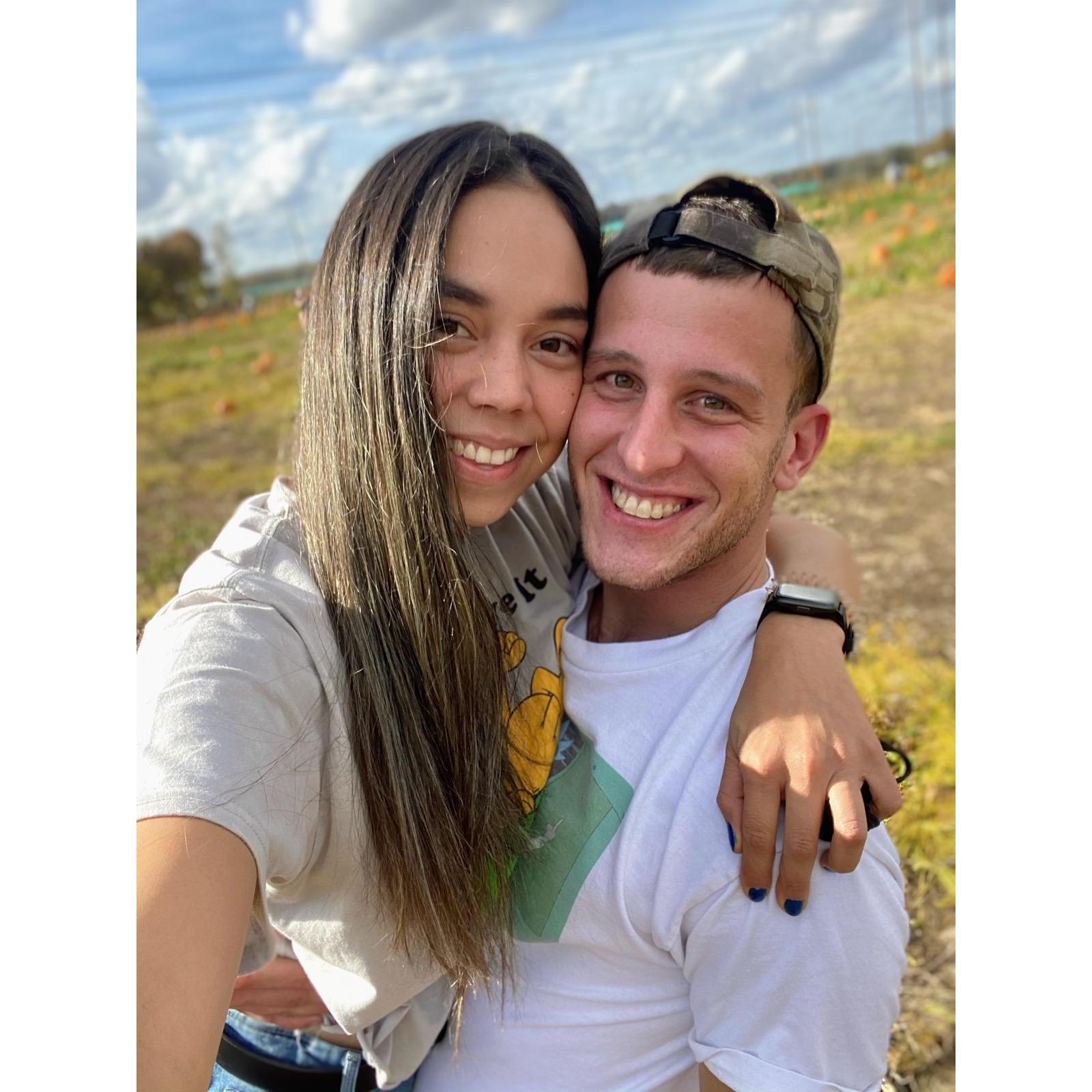 Pumpkin Picking