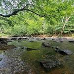 Eno River State Park - Fews Ford Access