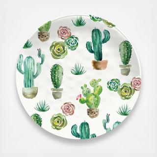 Desert Garden Melamine Dinner Plate, Set of 6