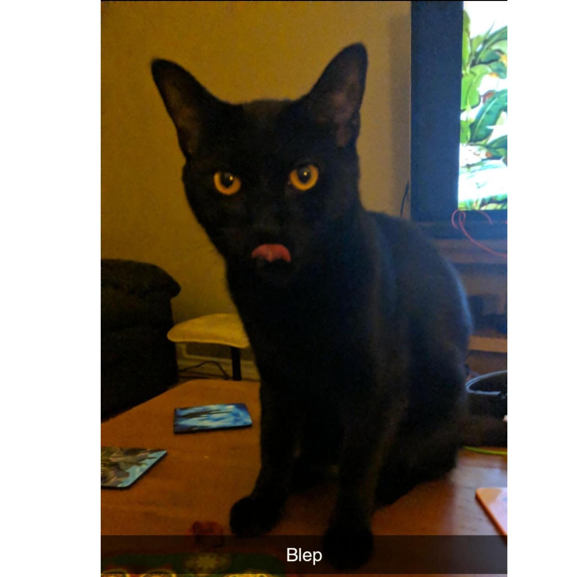 Hollow Bleps
