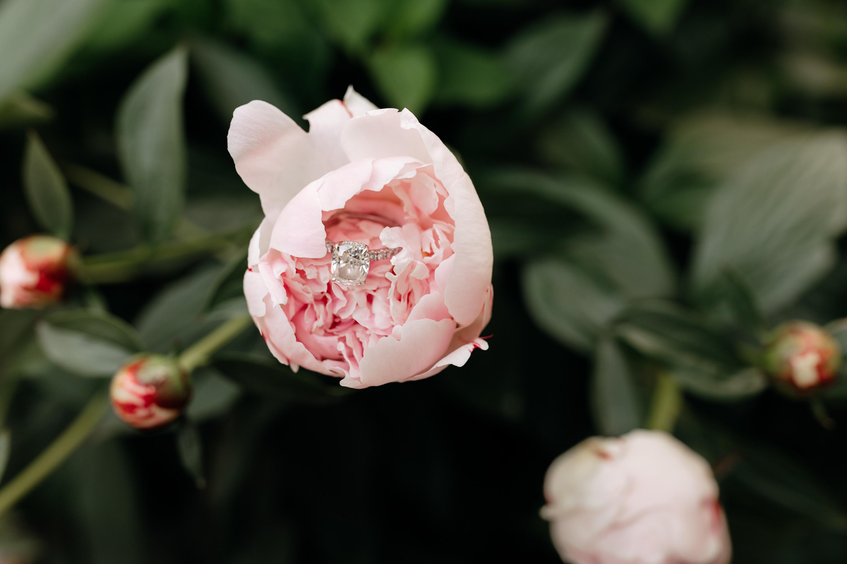 The Wedding Website of Emmie Gibson and Dominick Ammirato