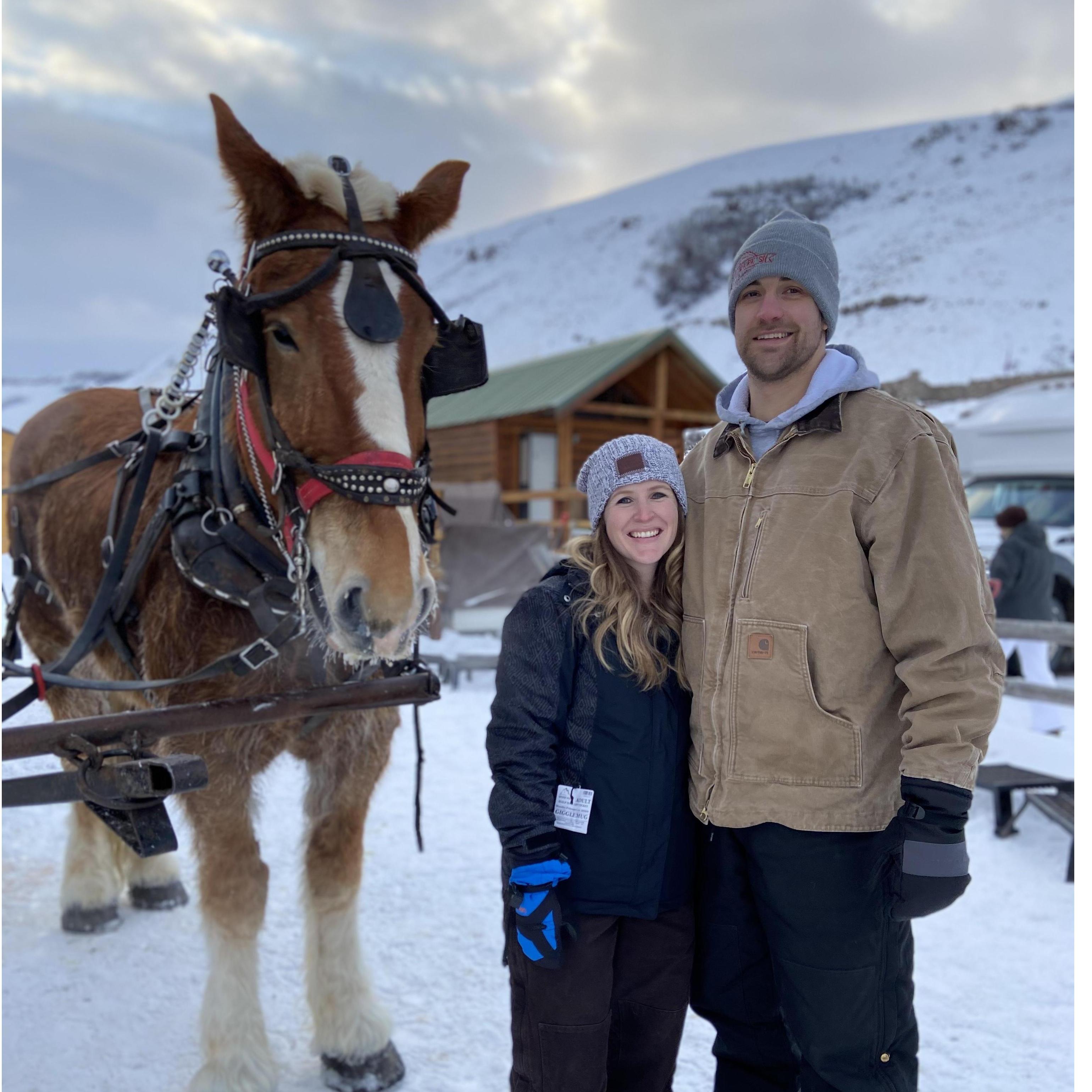 Elk refuge in Jackson Hole Wyoming