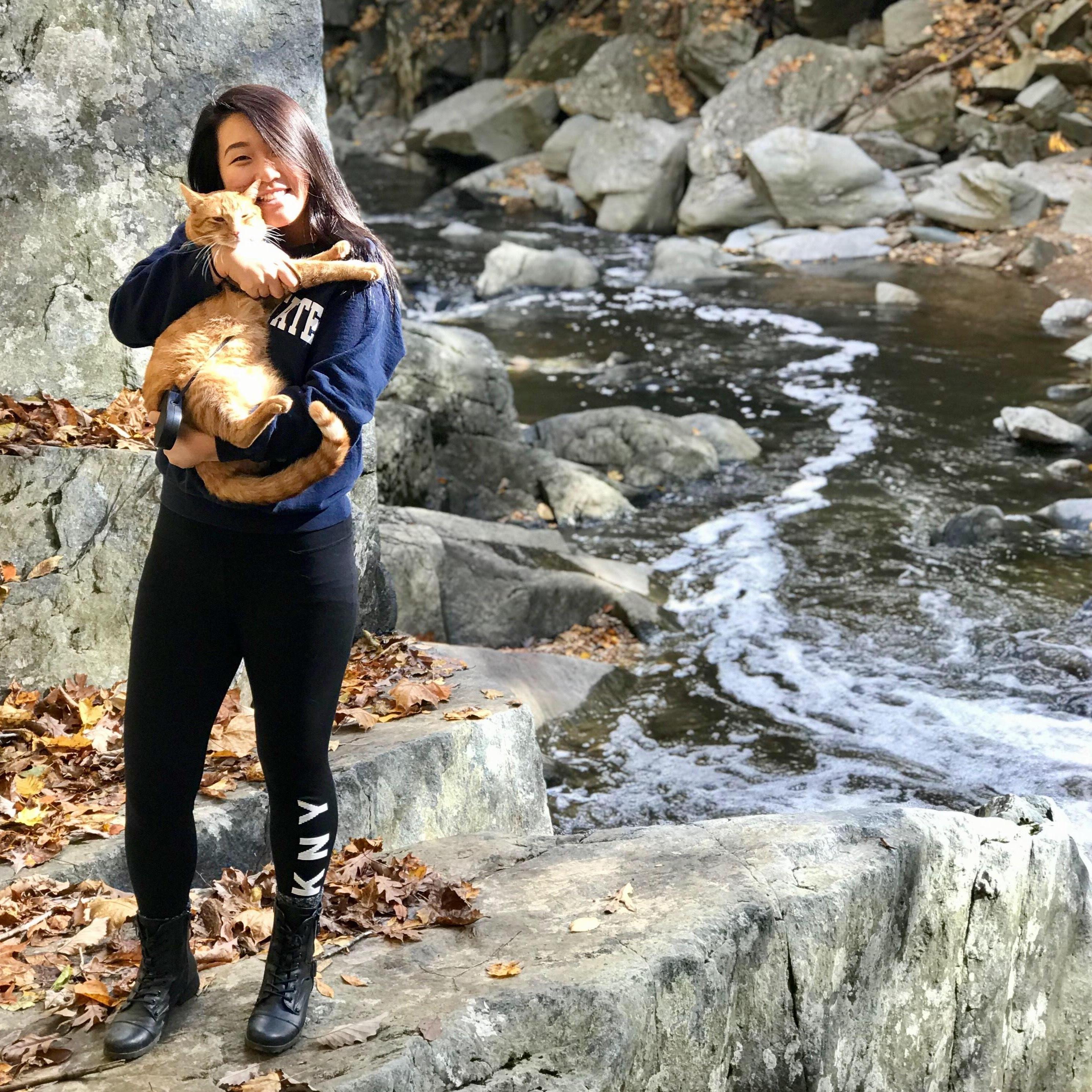 The One where Simba goes hiking