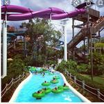 Adventure Island