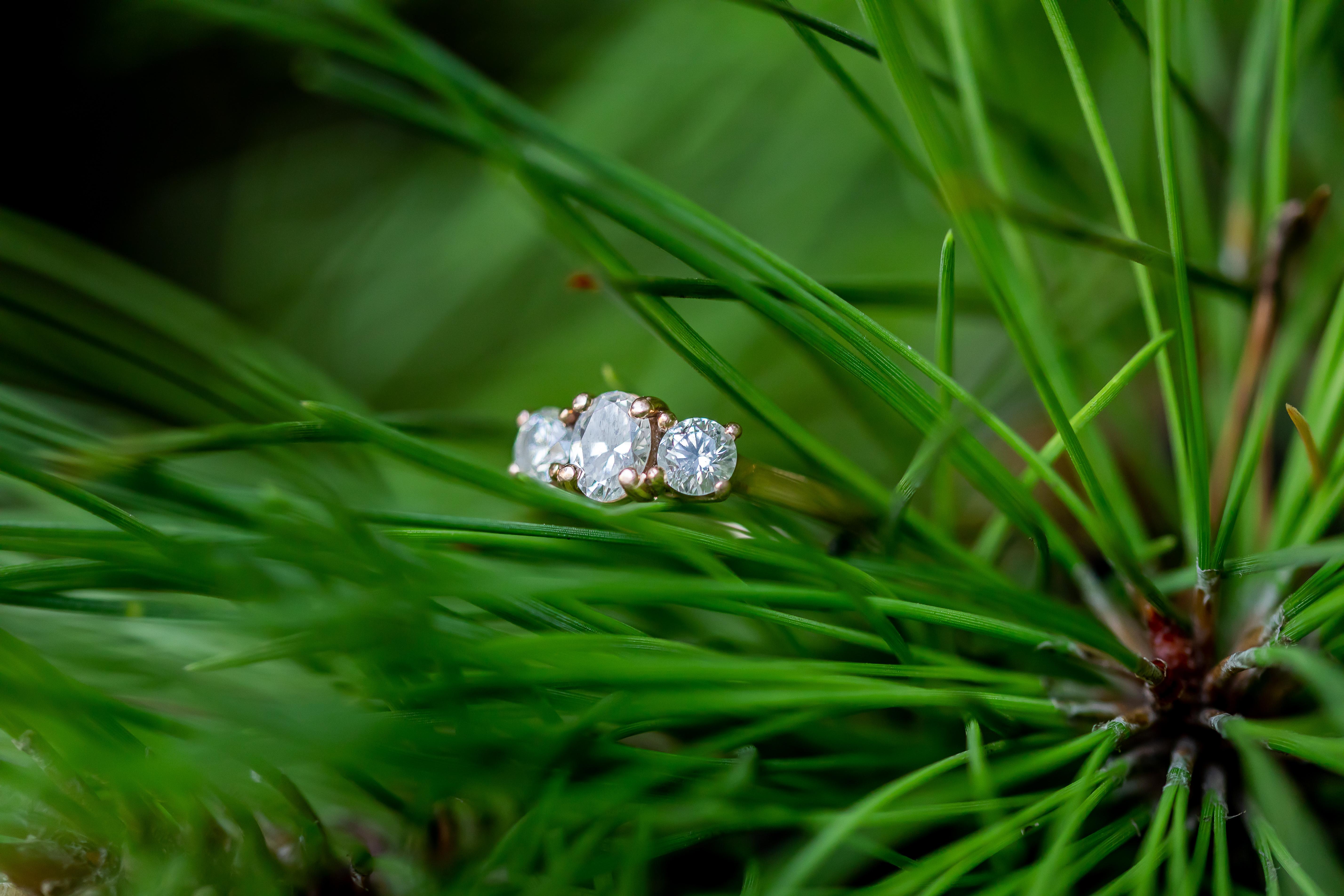 The Wedding Website of Jennifer Troxell and Spencer Brumley