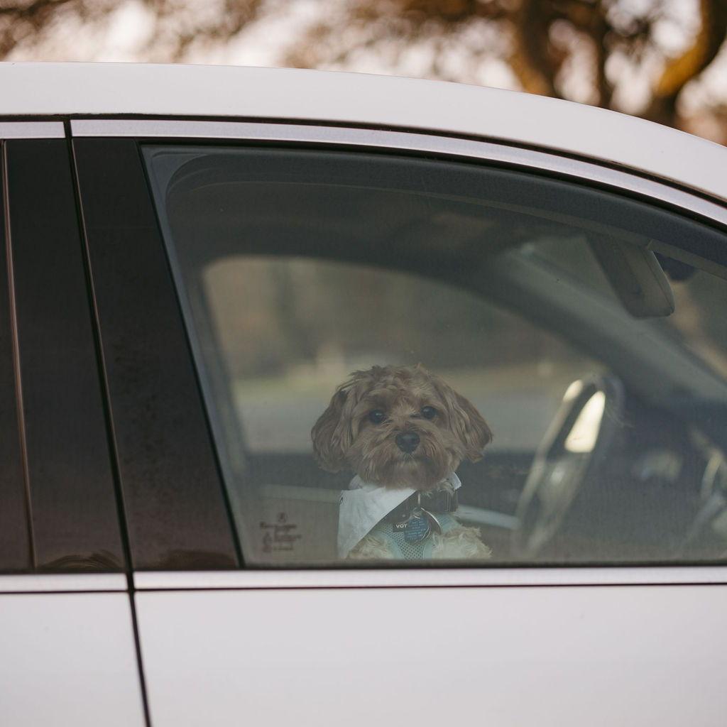 Ari was not nice to the photographer haha