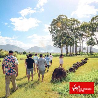 Oahu Island Tastes & Sights Bus Tour for 2