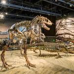 Natural History Museum of Utah