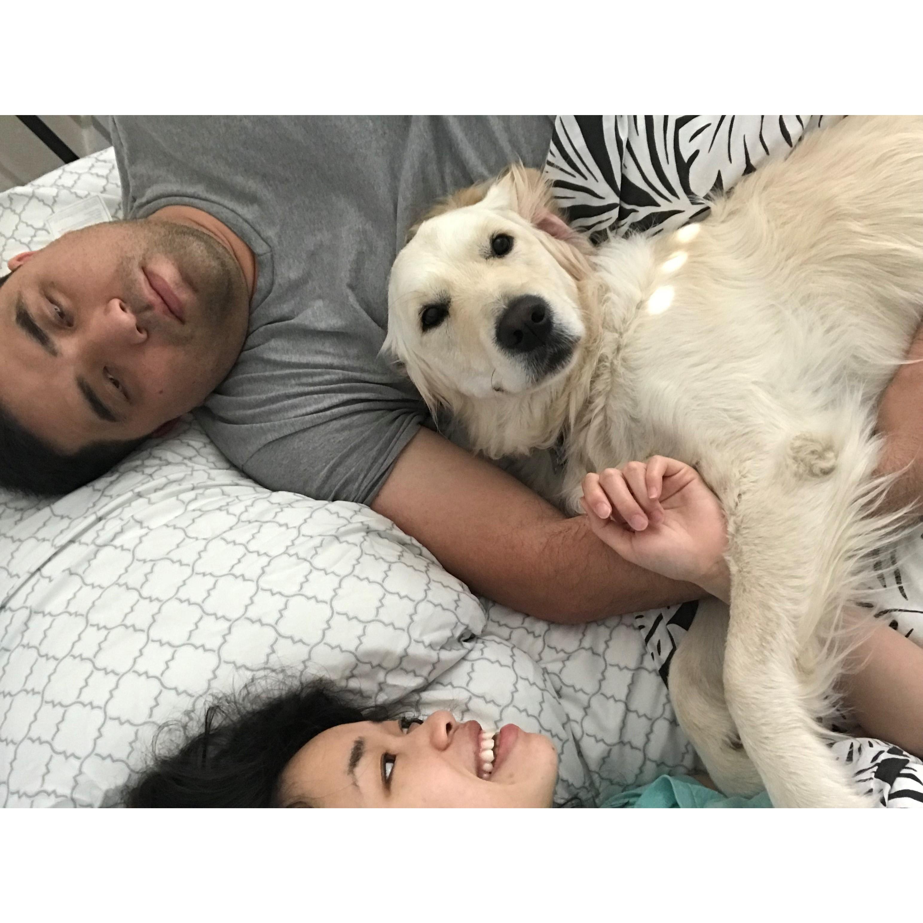 Denali cuddles