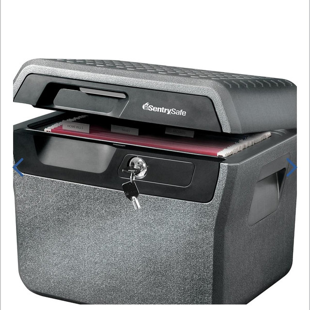 Sentry®Safe Waterproof Fire-Resistant File Holder, 44-Lb, 0.66 Cu Ft Capacity, Charcoal Gray