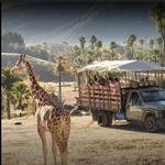 San Diego Zoo Safari Park