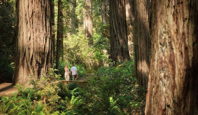 Hero Slideshow Image 0