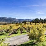 Napa Valley