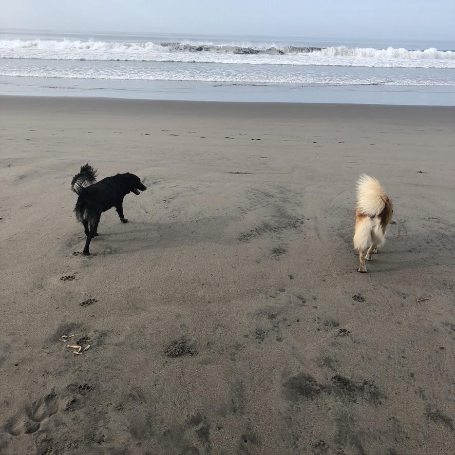 Sisters on the beach
