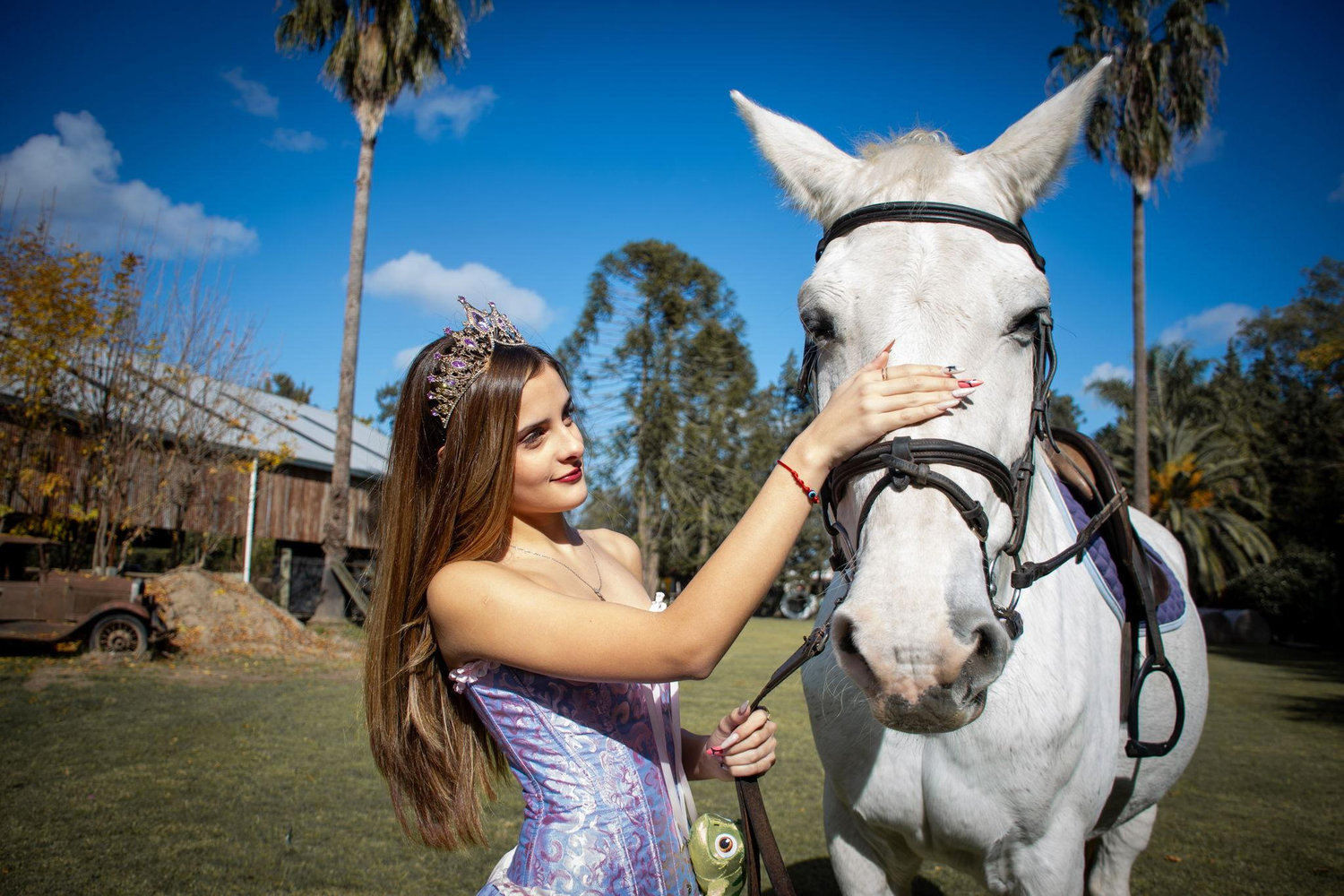 The Wedding Website of Sofia Azul and Mis XV