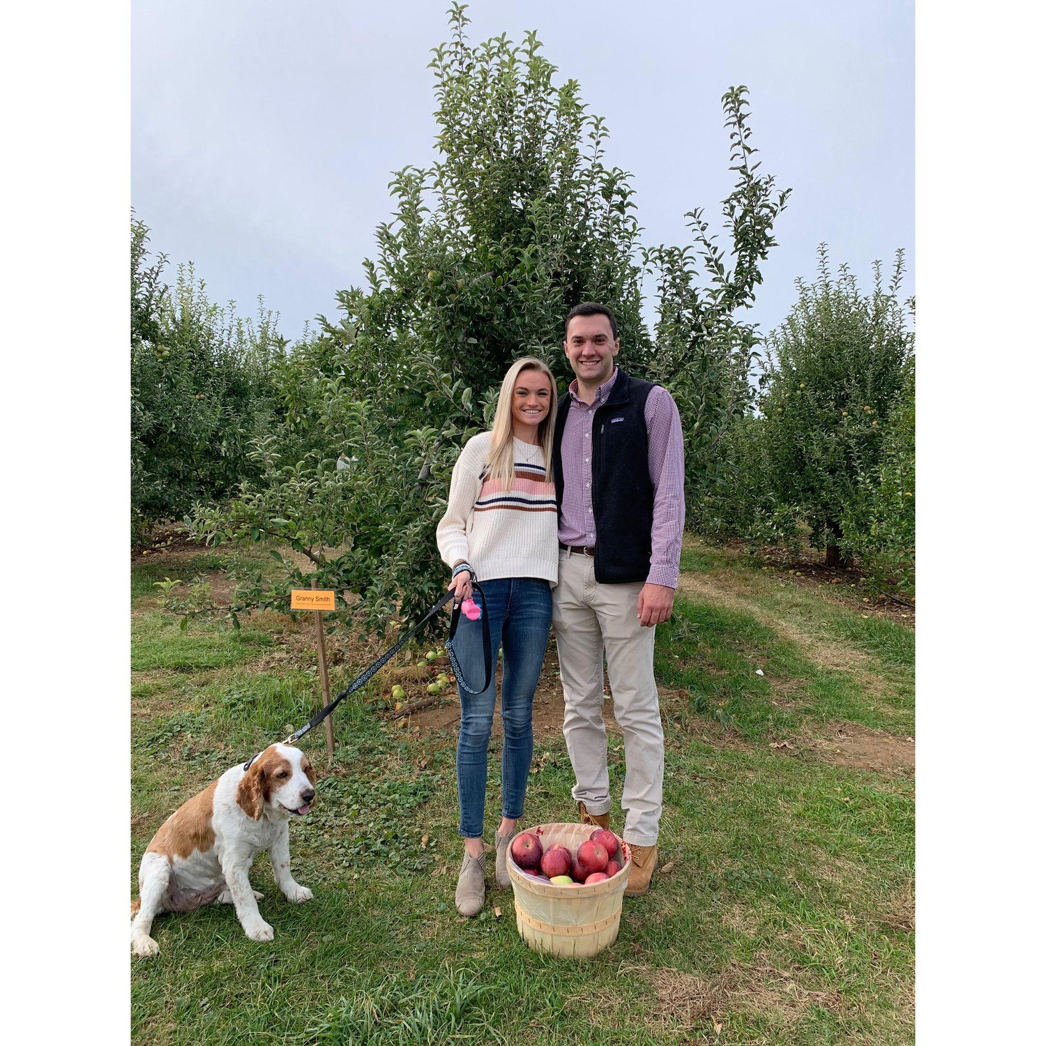 Apple picking with Gracie