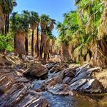 Indian Canyons